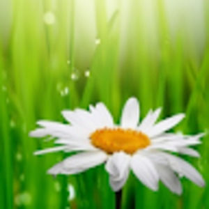 Meet your Posher, Elena